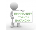 Консультант интернет-проекта