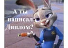 Студенческие работы на заказ